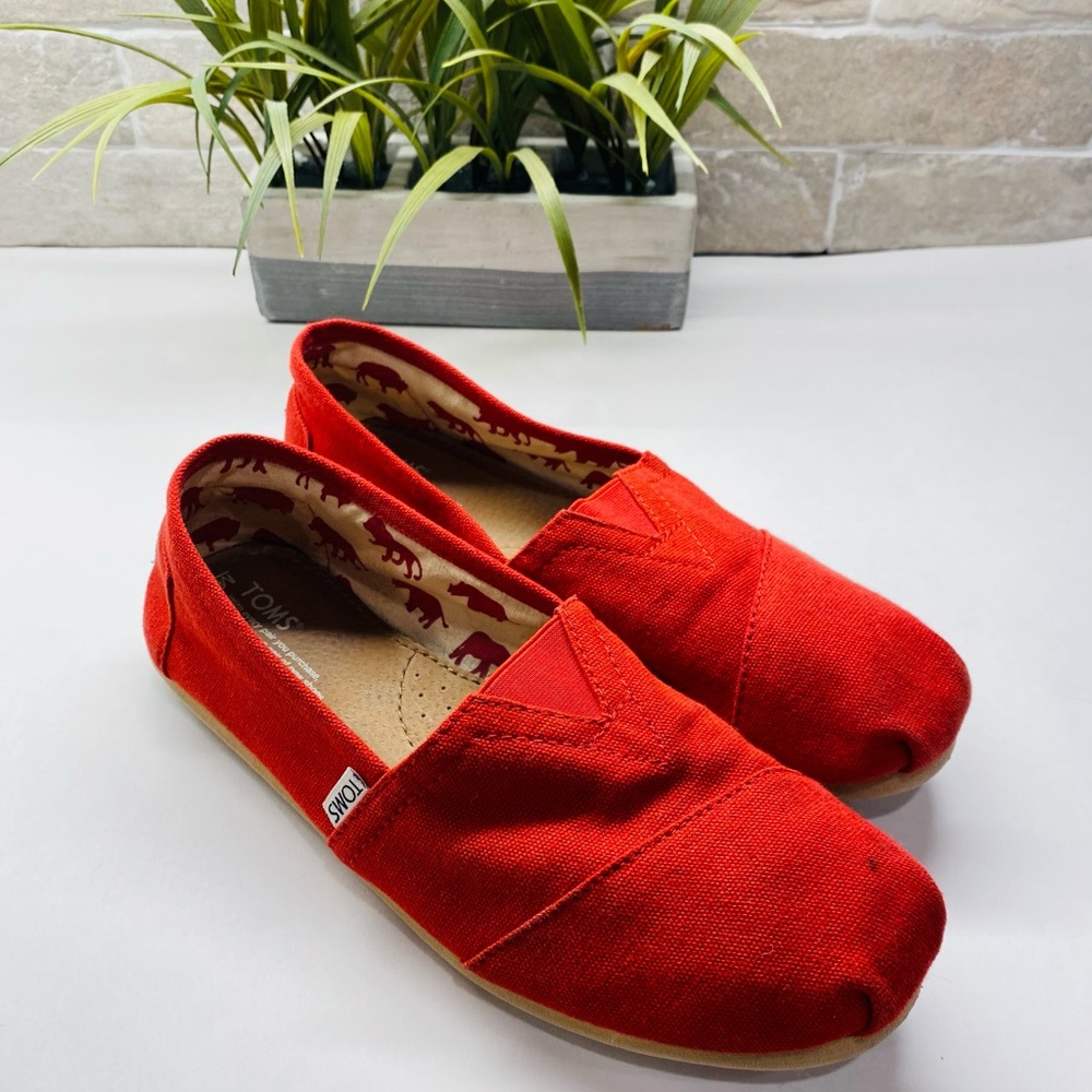 Red Toms Shoes - M9 (Mens)